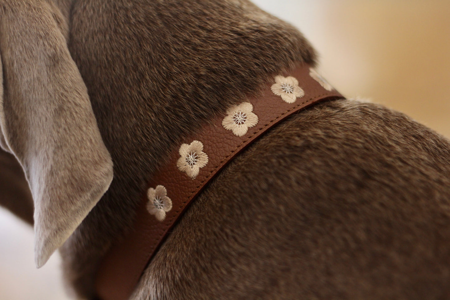 Collar Miel / Taupé Bordado