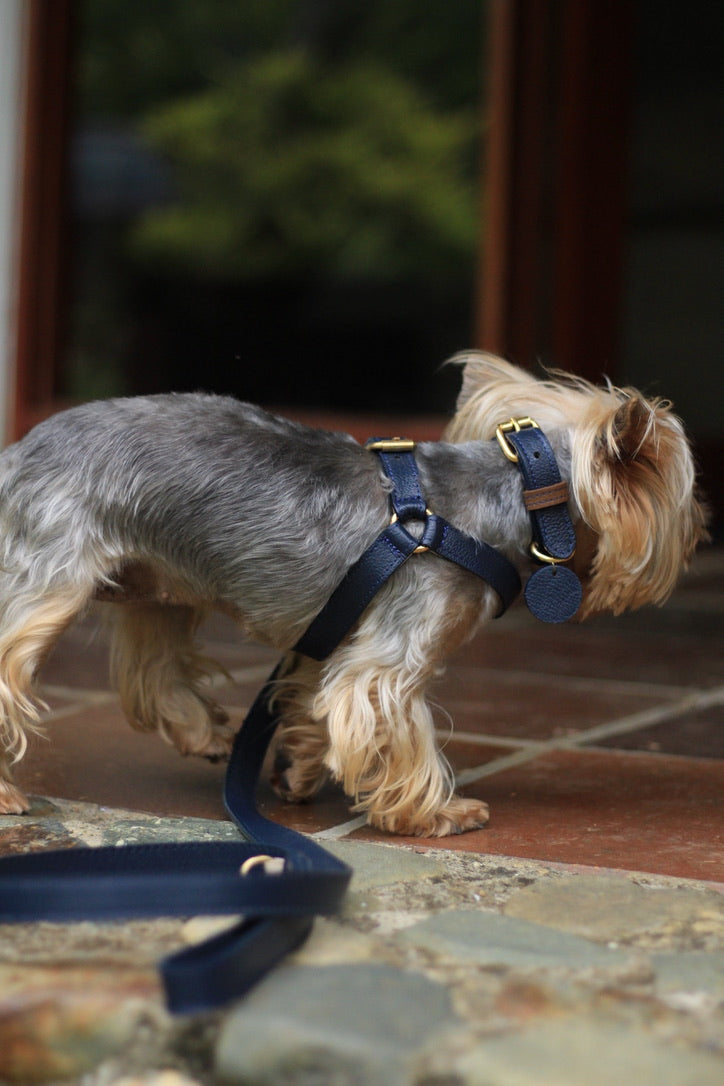 Collar Mora Azul / Bronce