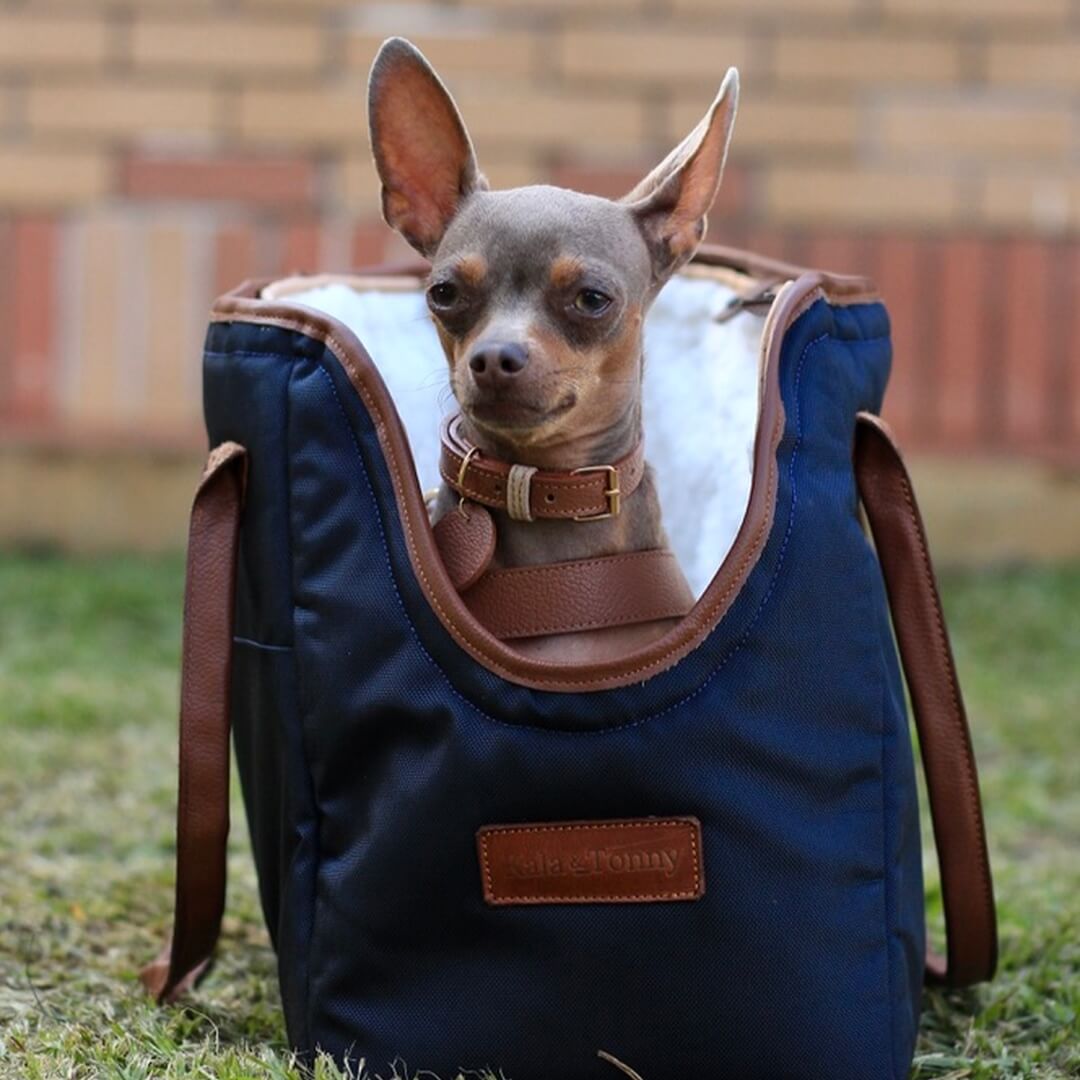 Bolso para mascotas