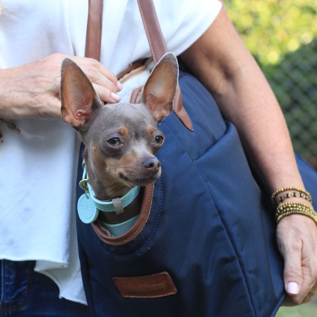 Bolso para mascotas