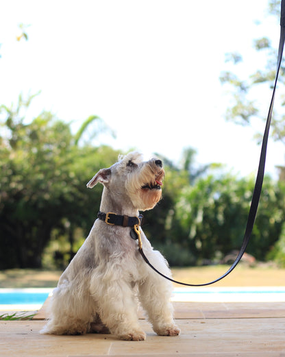 Collar Trenzado Mora Azul / Bronce