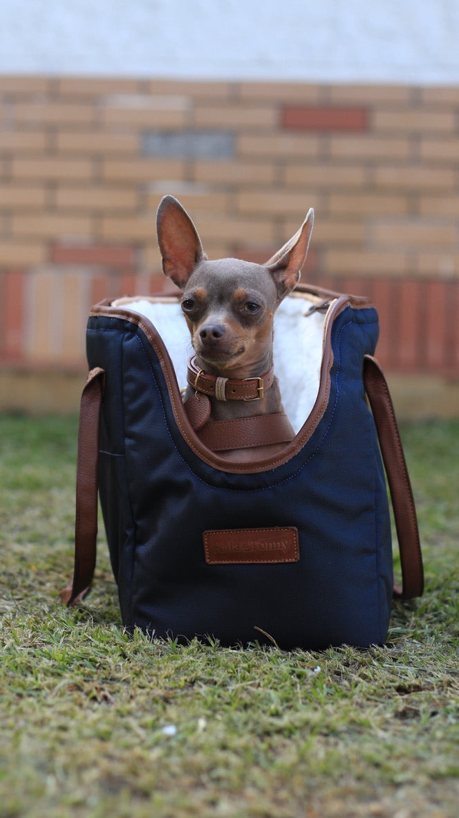 Bolso para perros