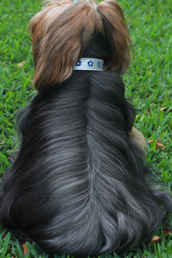 Collar Plateado / Azul Oscuro Bordado