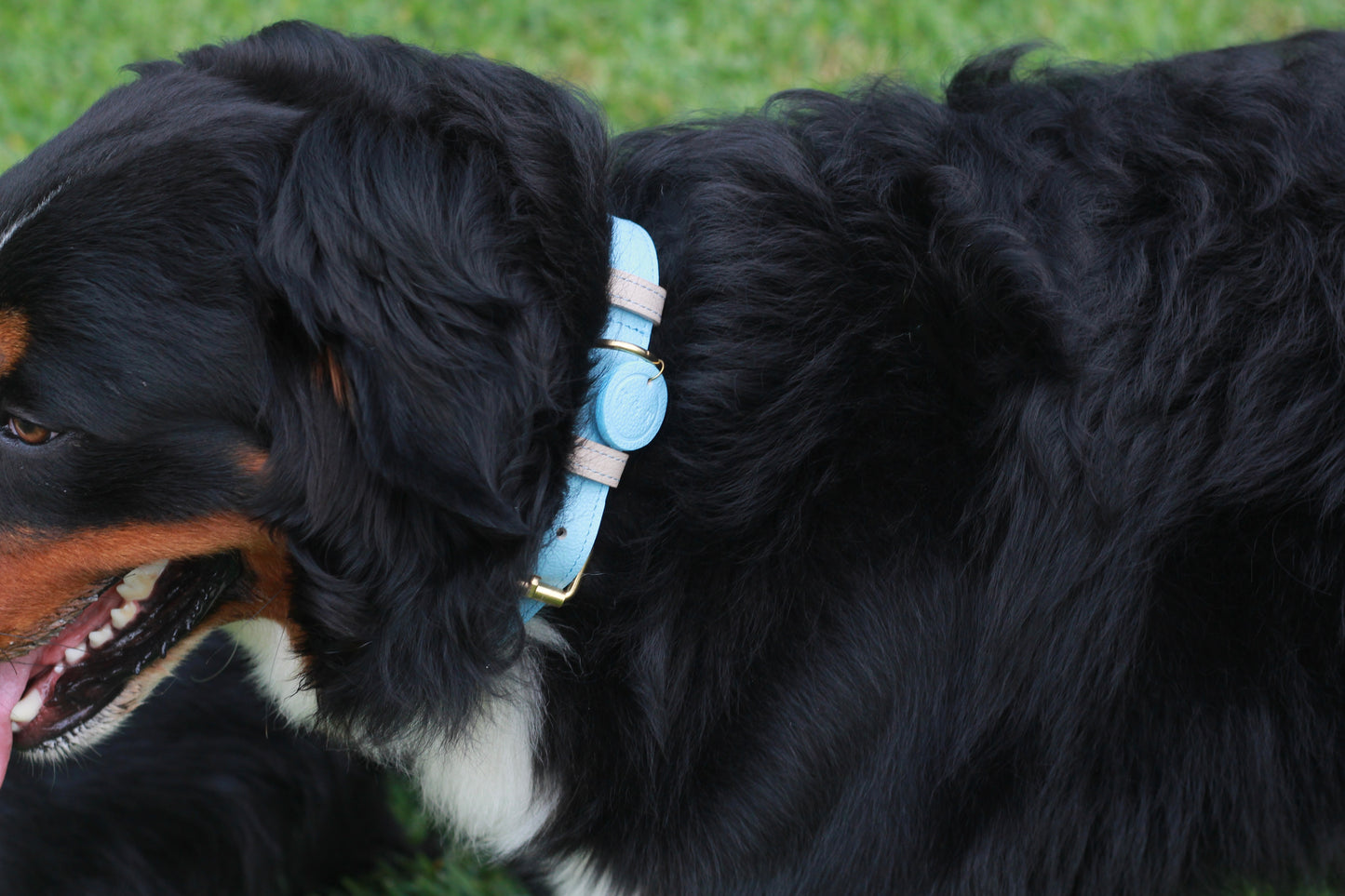 Collar Azul Claro / Taupe