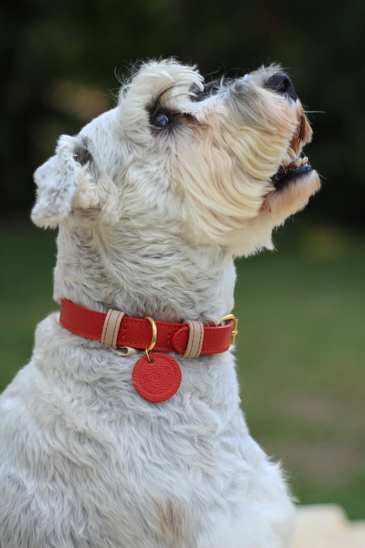 Collar Rojo / Taupé