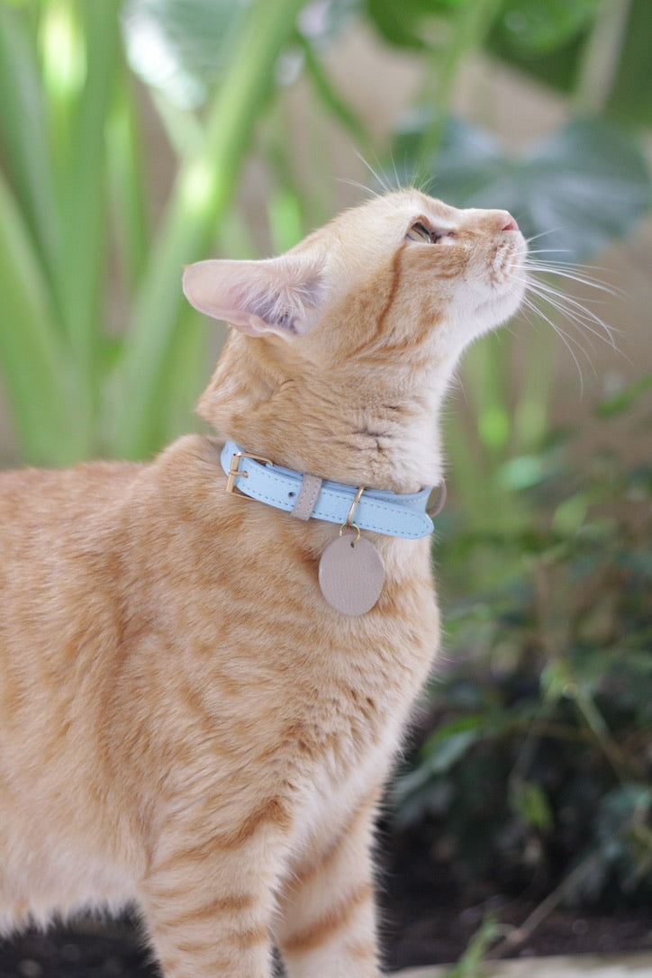 Collar Gato Azul Claro / Taupé