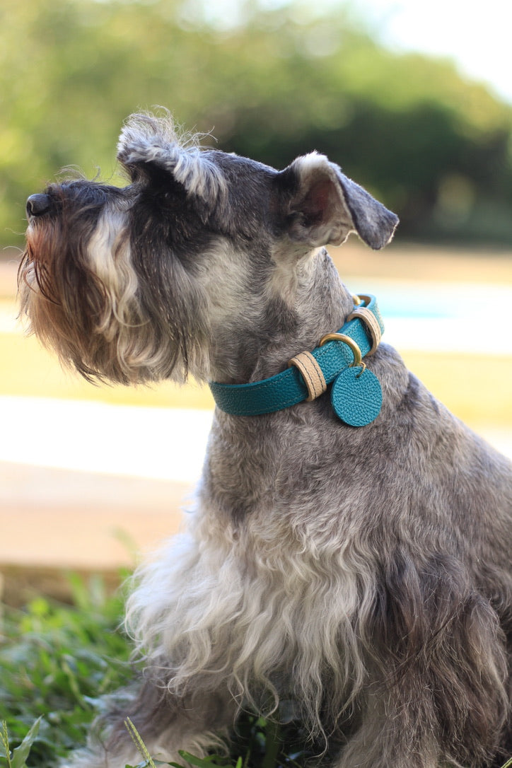 Collar Azul Lago / Taupé