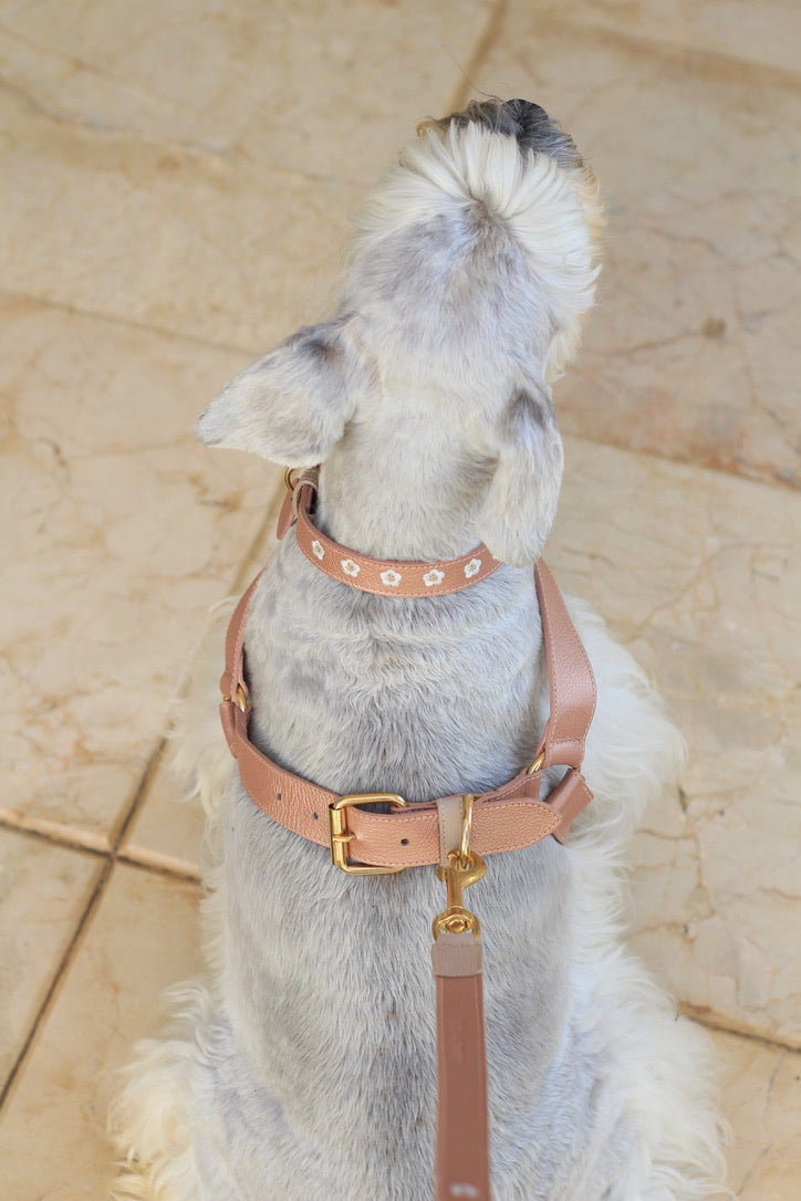 Collar Oro Rosa / Taupé Bordado