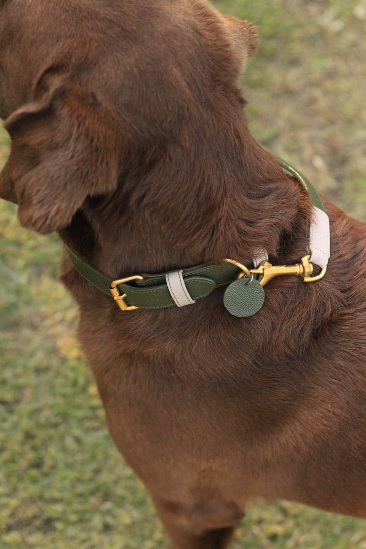 Collar Verde Oliva / Taupé