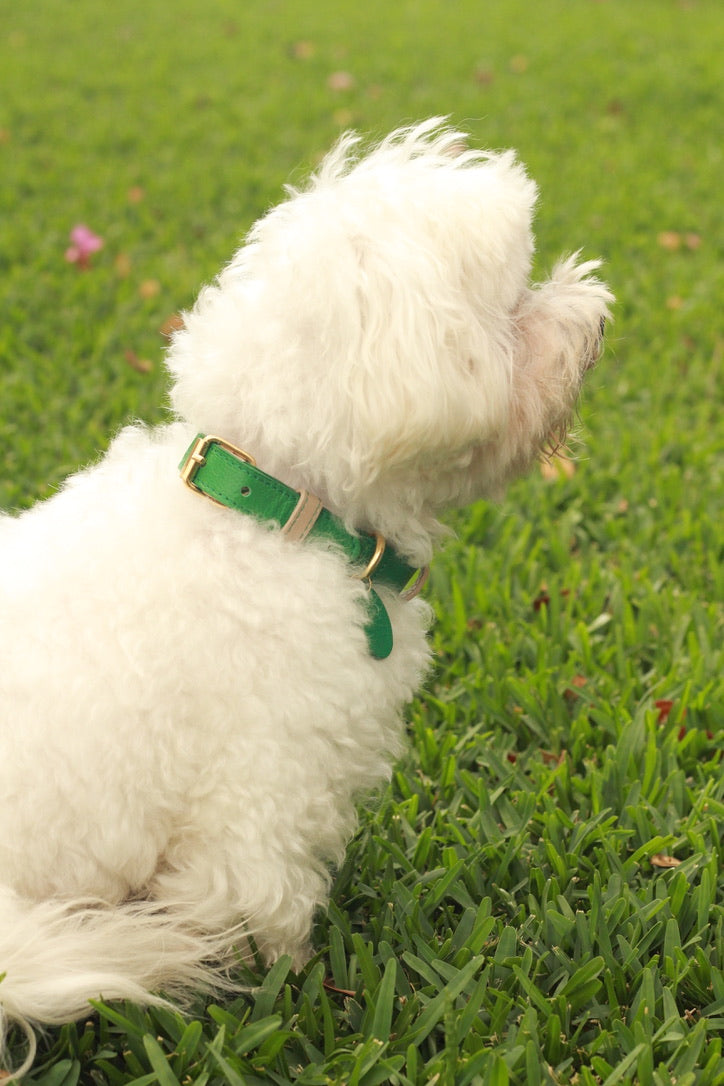 Collar Verde / Taupé