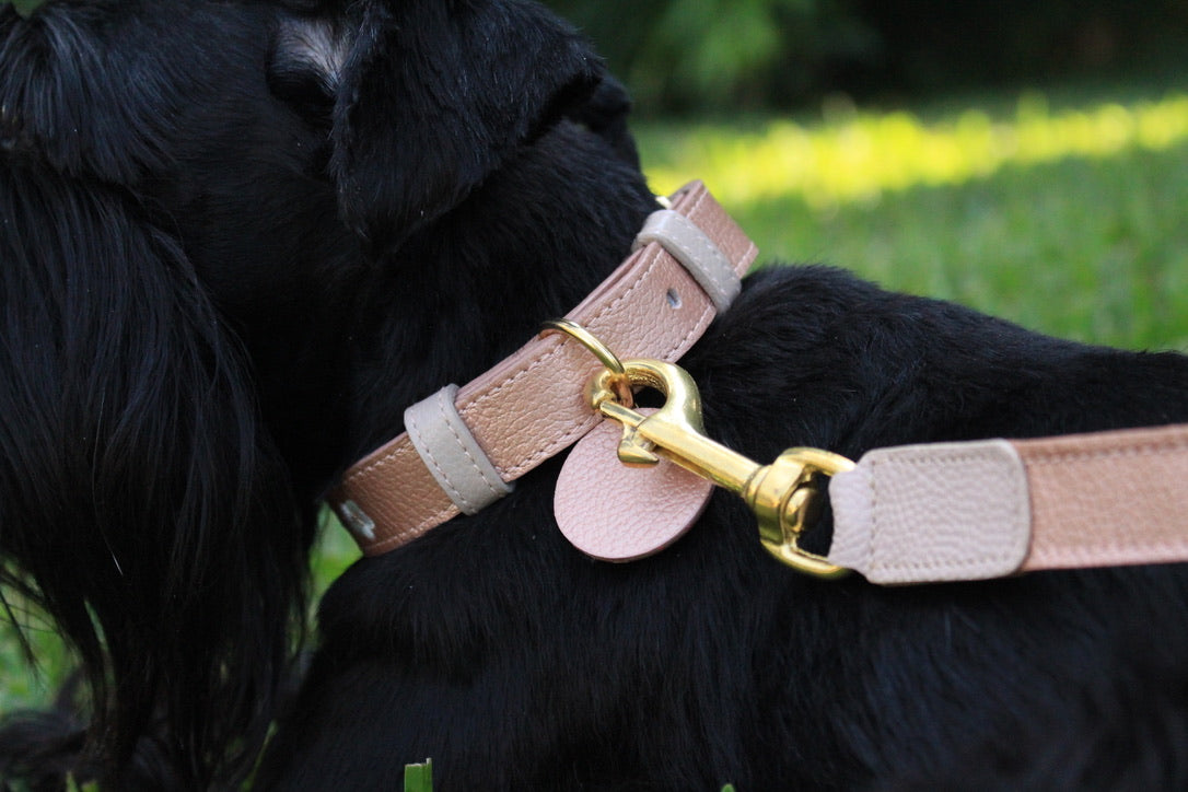 Collar Oro Rosa / Taupé Bordado