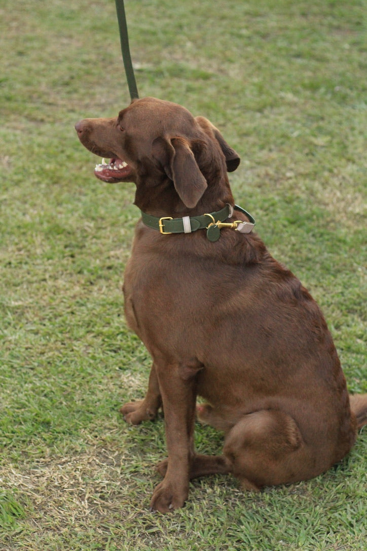 Collar Verde Oliva / Taupé