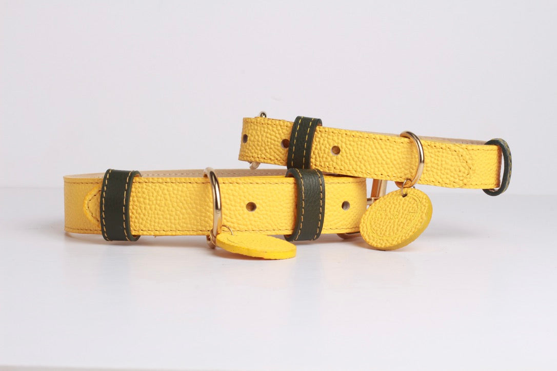 Collar Amarillo / Verde Oliva