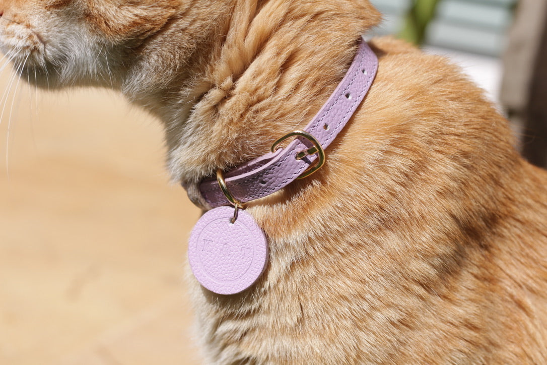 Collar Gato Lila / Taupé