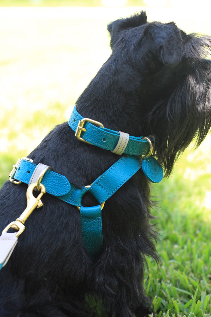 Collar Azul Lago / Taupé