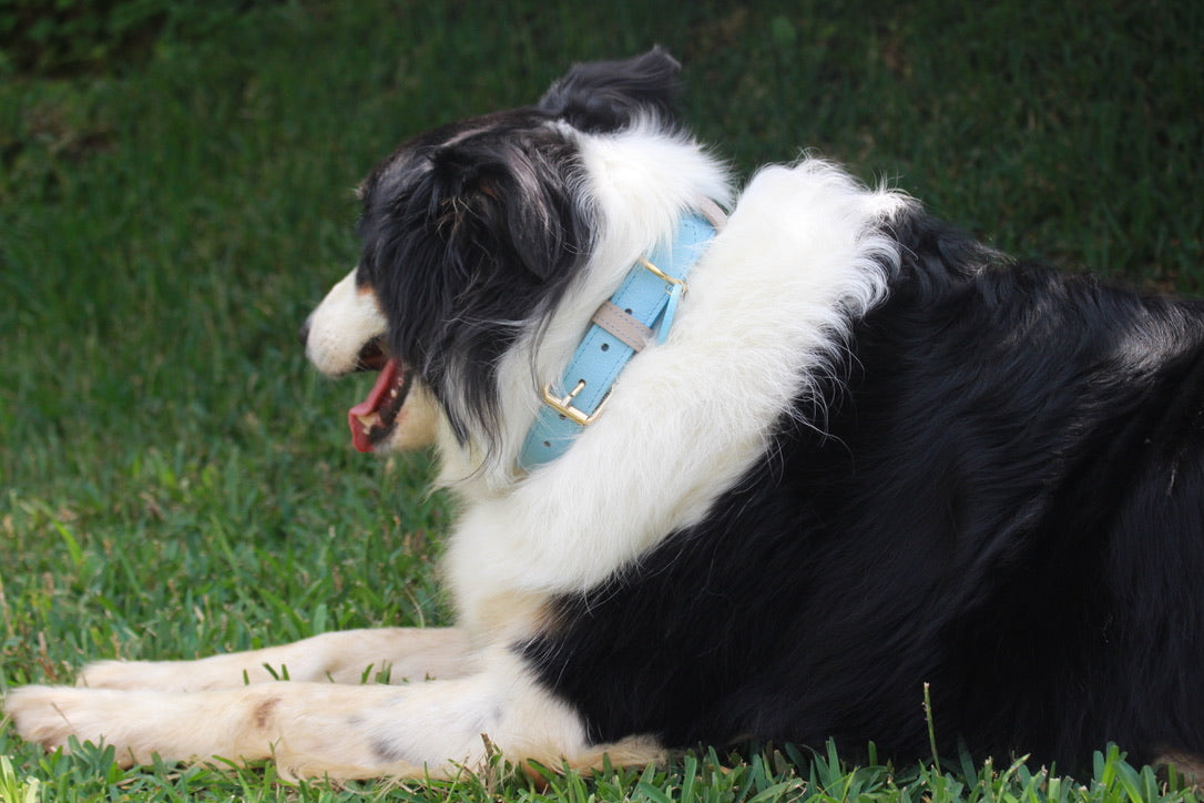 Collar Azul Claro / Taupe