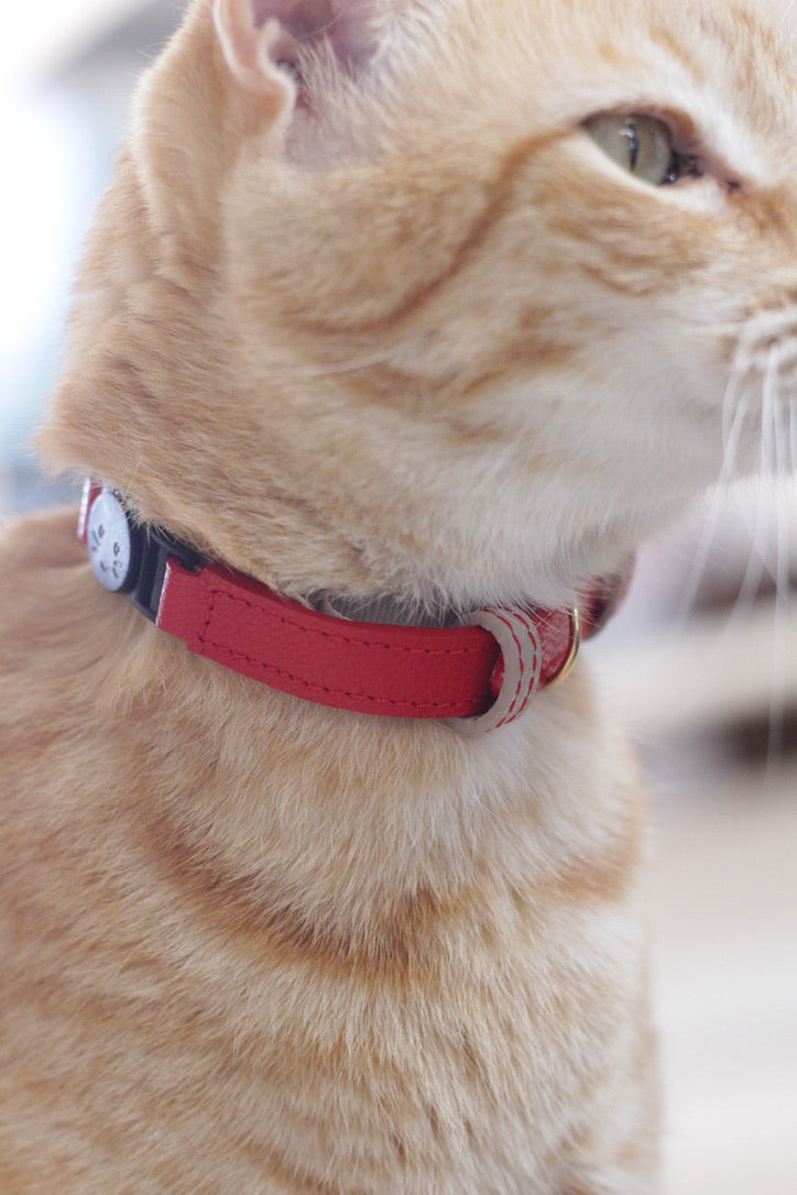 Collar Gato Rojo / Taupé