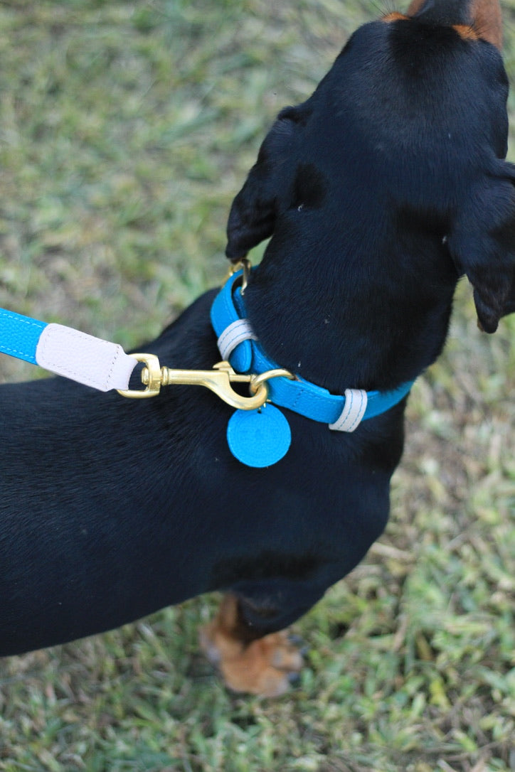 Collar Azul Lago / Taupé