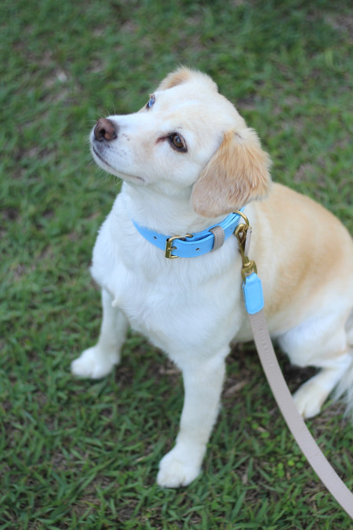 Collar Azul Claro / Taupe