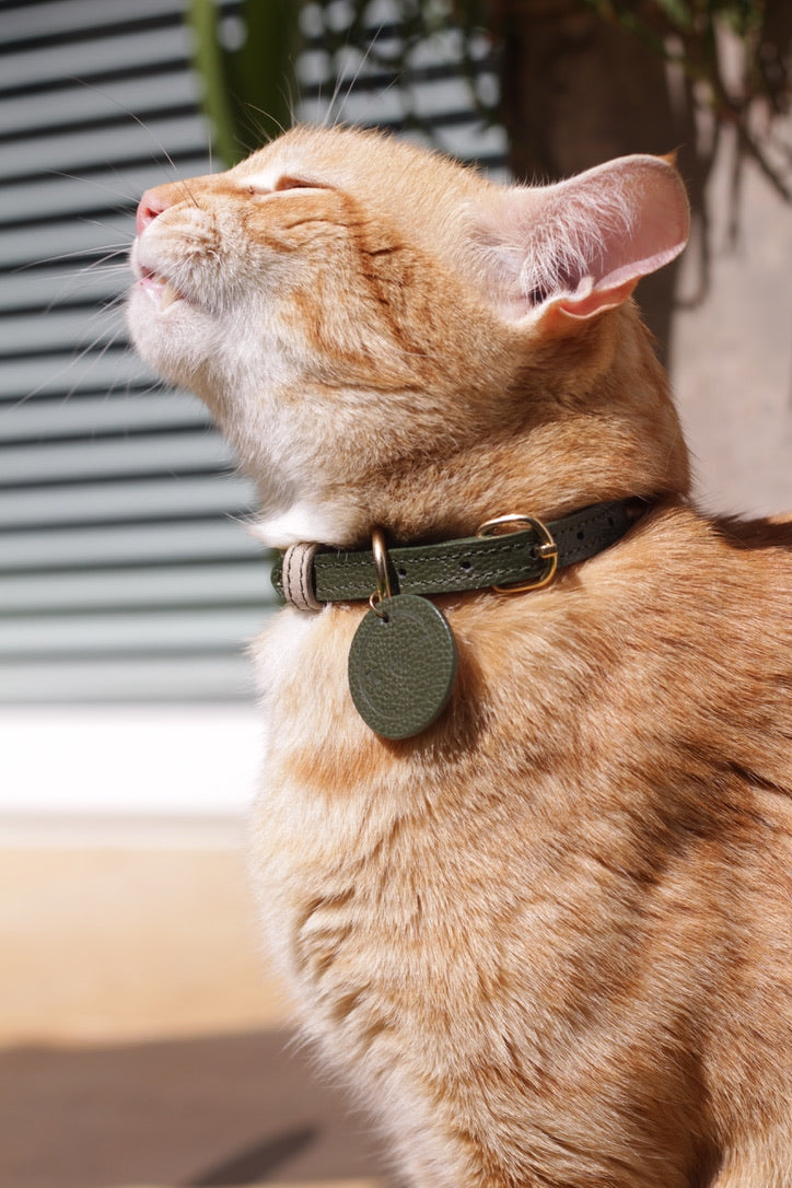 Collar Gato Verde Oliva / Taupe