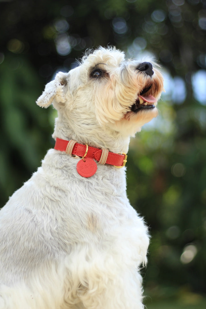 Collar Rojo / Taupé