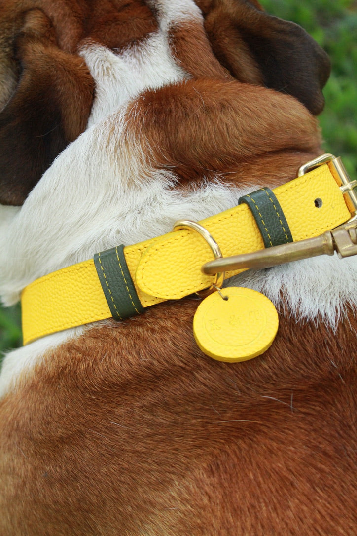 Collar Amarillo / Verde Oliva