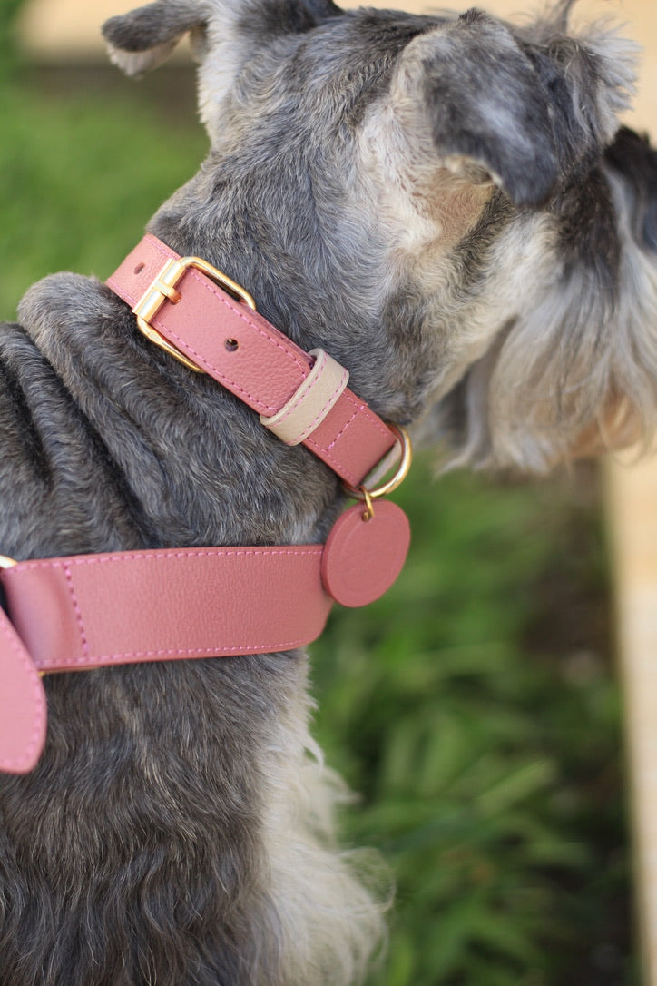 Collar Mora / Taupé Bordado